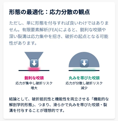 咬頭形態と応力分散の考え方を示す図|鋭利な咬頭と丸みのある咬頭の違いを説明するコンセプト図