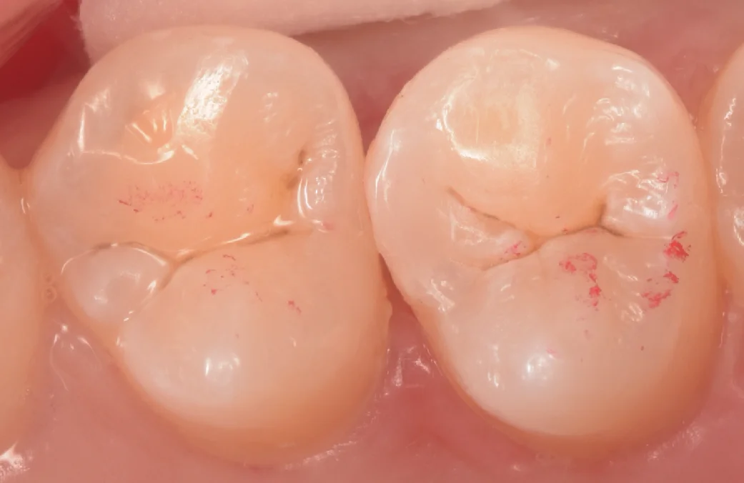 神奈川からお越しの歯科医師の方|坂寄歯科医院(取手市藤代) - 画像3