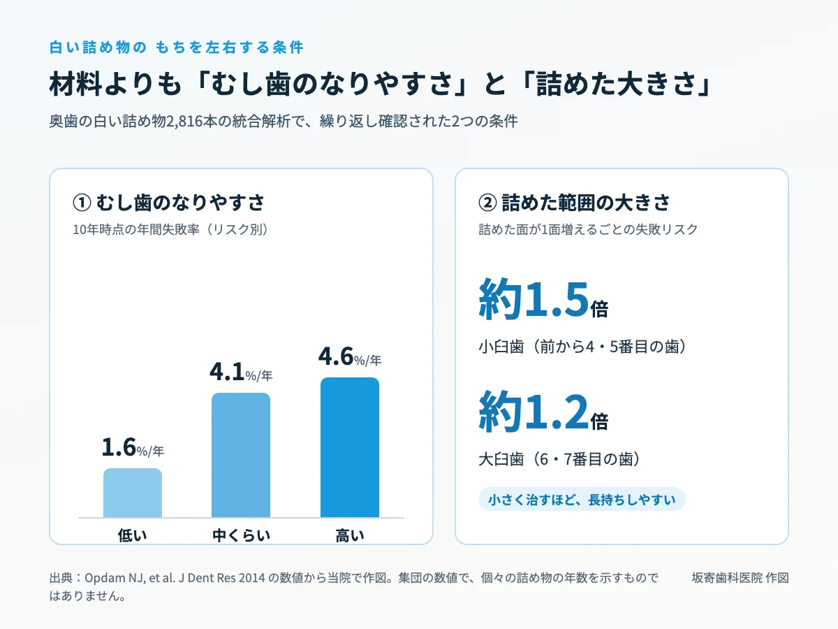 白い詰め物のもちを左右する条件。むし歯のリスク別の10年時点の年間失敗率（低い1.6％、中くらい4.1％、高い4.6％）と、詰めた面が1面増えるごとの失敗リスク（小臼歯約1.5倍、大臼歯約1.2倍）を示した図｜取手市藤代の坂寄歯科医院