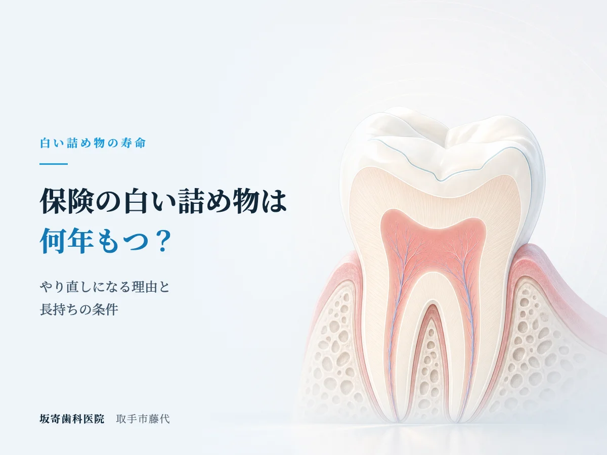 保険の白い詰め物（コンポジットレジン）は何年もつ？やり直しの理由と長持ちの条件