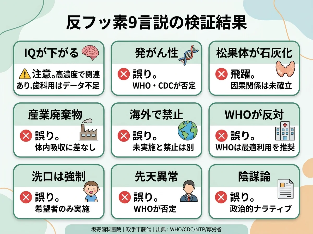「フッ素は危険」は本当？歯科医が一次資料で検証する9つの反フッ素言説