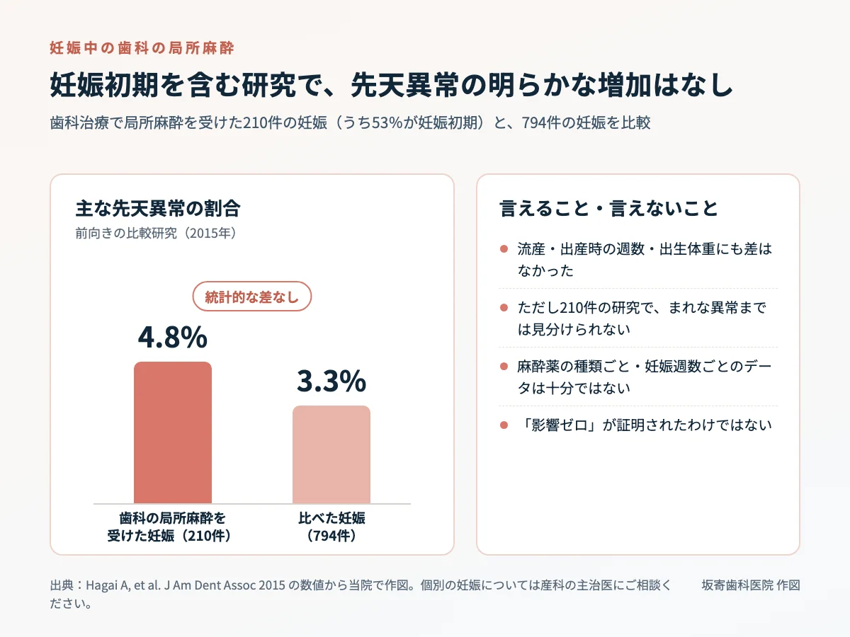 歯科治療で局所麻酔を受けた210件の妊娠と794件の妊娠で、主な先天異常の割合（4.8％と3.3％）に統計的な差がなかったことを示した棒グラフと、この研究で言えること・言えないことの一覧｜取手市藤代の坂寄歯科医院