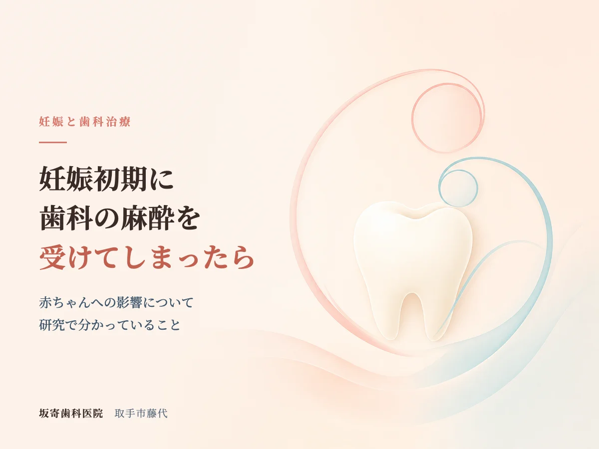妊娠初期に歯科の麻酔を受けてしまったら？赤ちゃんへの影響
