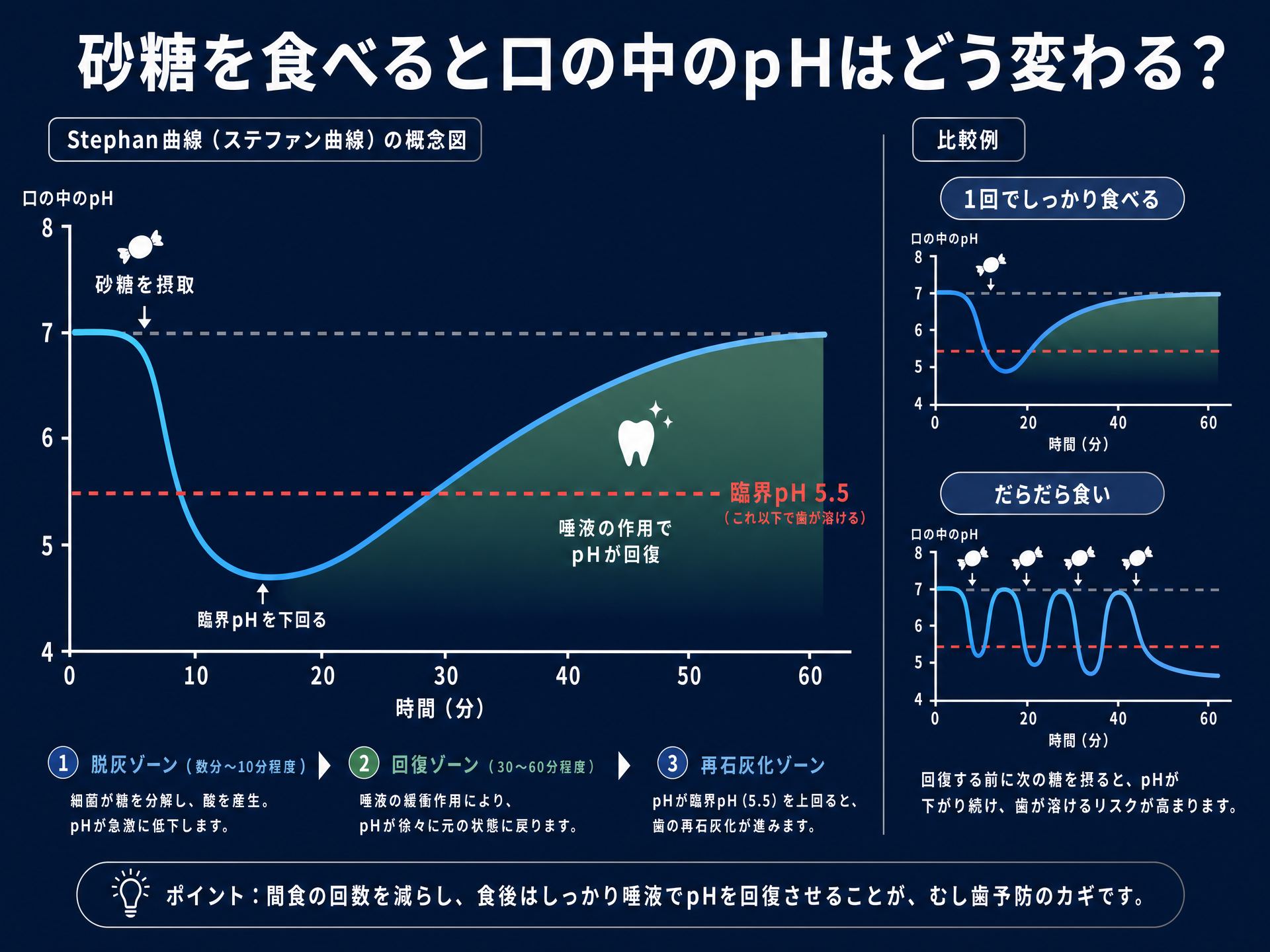 Stephan曲線の概念図：糖摂取後にプラークpHが臨界pH 5.5以下に下がり、30〜60分かけて中性に戻る様子と、だらだら食いで脱灰時間が長引くメカニズムを示した図